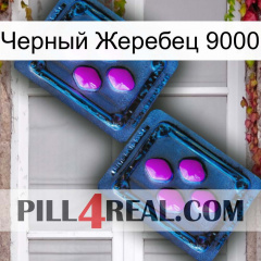 Черный Жеребец 9000 03